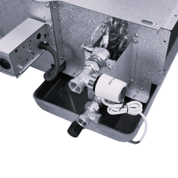 Ortakinis fankoilas - Image 7